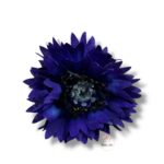 Chaber główka 12 szt. F-554