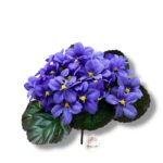 Bukiet Prymulka F-555/D