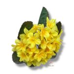 Bukiet Prymulka F-555/A