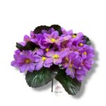 Bukiet Prymulka F-555/C