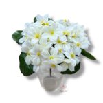 Bukiet Prymulka F-555