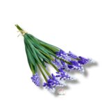 Szafirek gumowy 10 szt. F-552/D