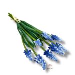 Szafirek gumowy 10 szt. F-552/C