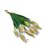 Szafirek gumowy 10 szt. F-552/A