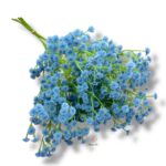 Gipsówka silikonowa niebieska 6 szt. F-595