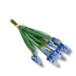 Szafirek gumowy 10 szt. F-552/E