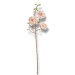 Magnolia pianka F-563