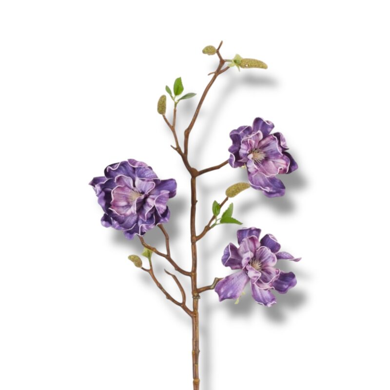 Magnolia pianka F-566