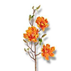 Magnolia pianka F-567