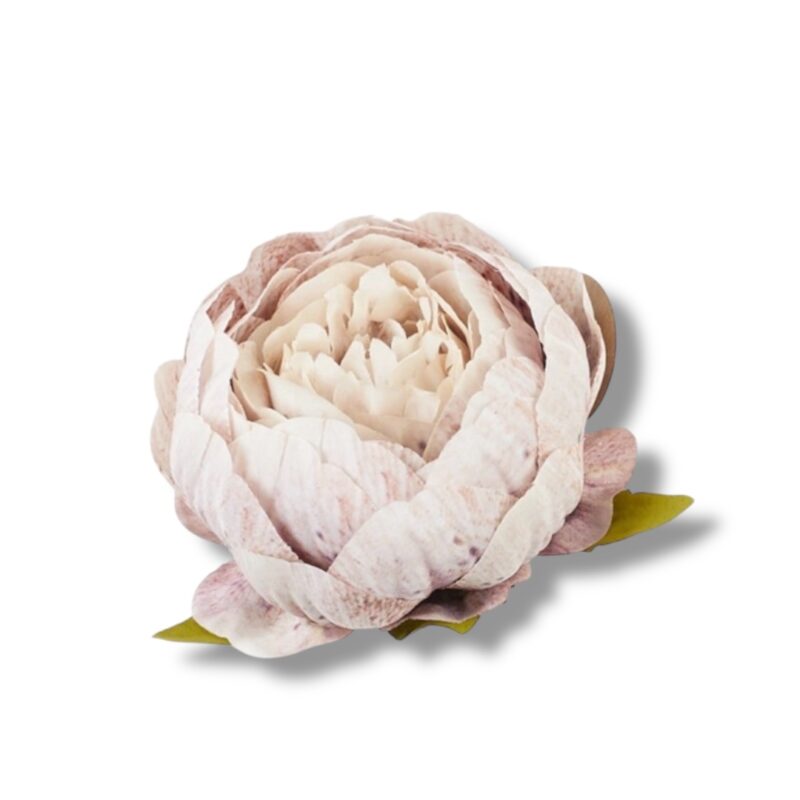 Peonia główka 12 szt. F-570