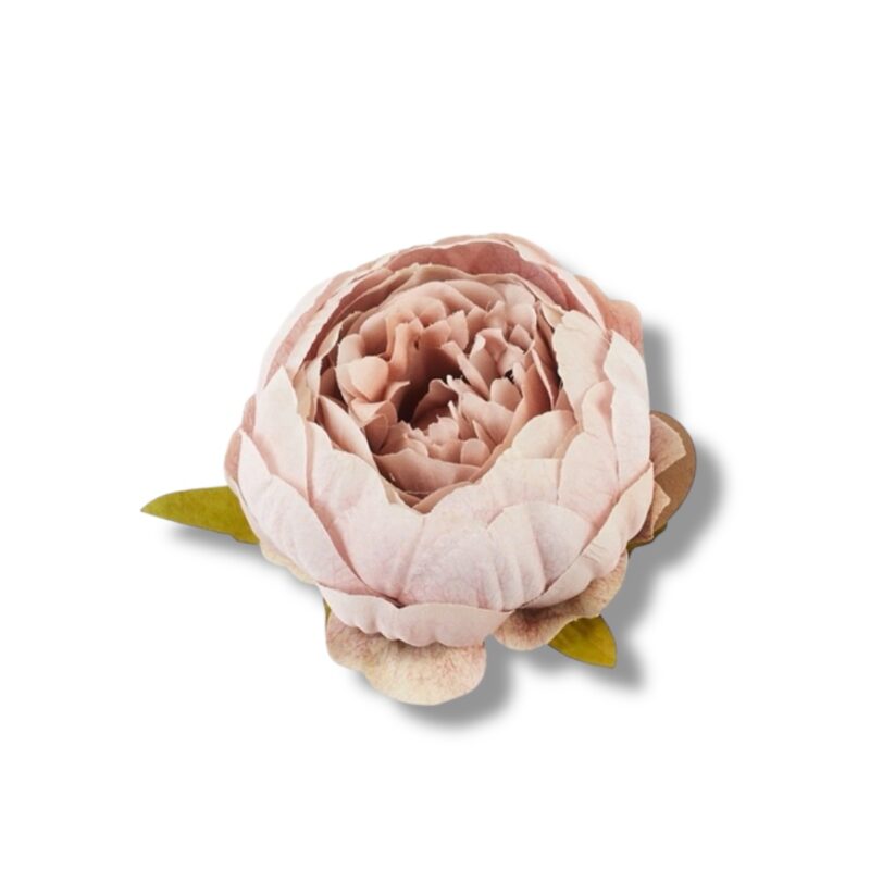 Peonia główka 12 szt. F-571