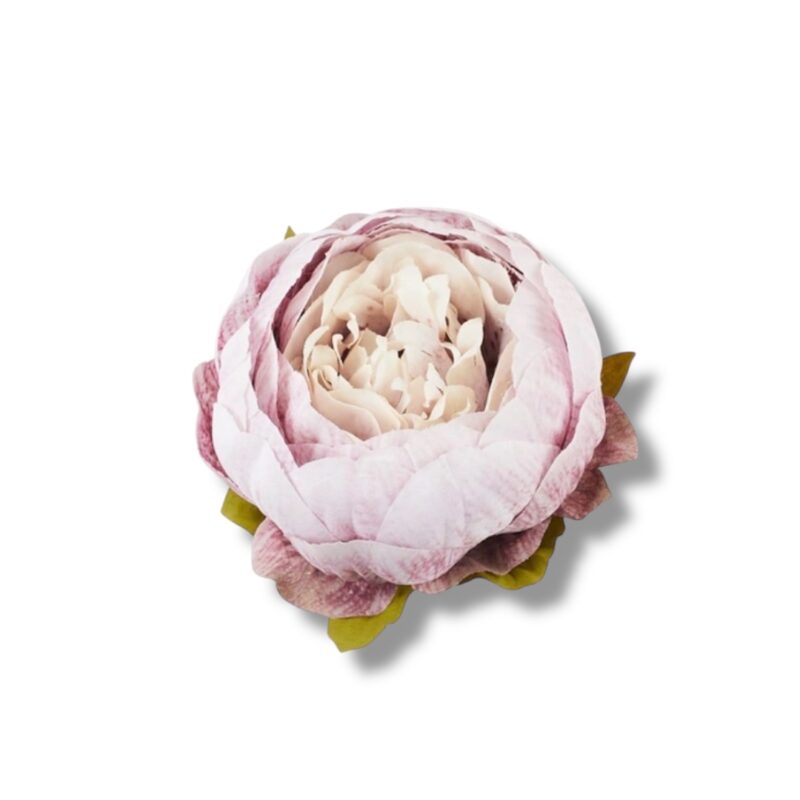 Peonia główka 12 szt. F-573