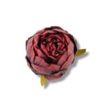 Peonia główka 12 szt. F-576