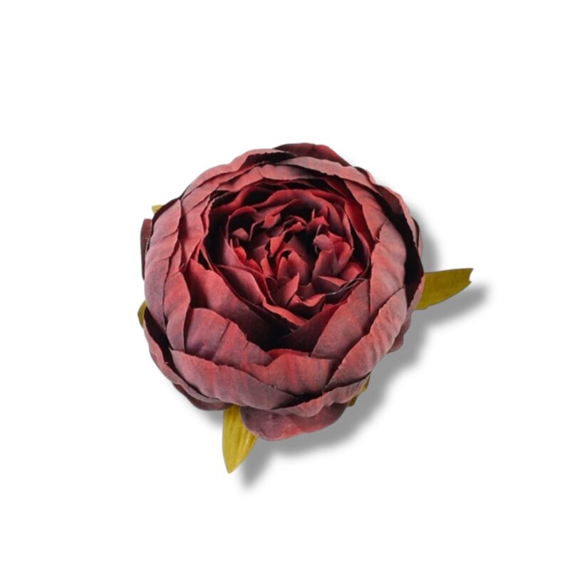 Peonia główka 12 szt. F-576