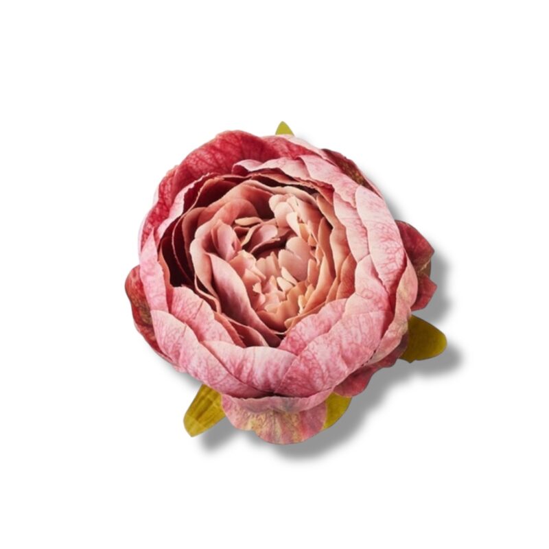 Peonia główka 12 szt. F-577