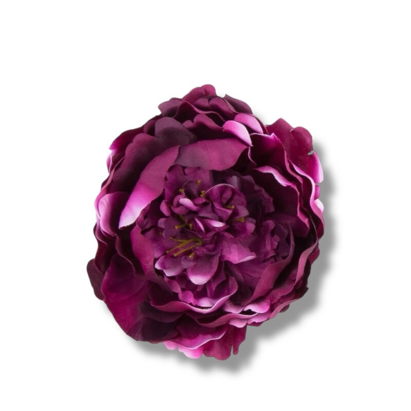 Peonia główka 6 szt. F-581