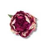 Peonia główka 6 szt. F-583