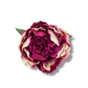 Peonia główka 6 szt. F-583