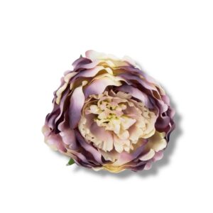 Peonia główka 6 szt. F-584