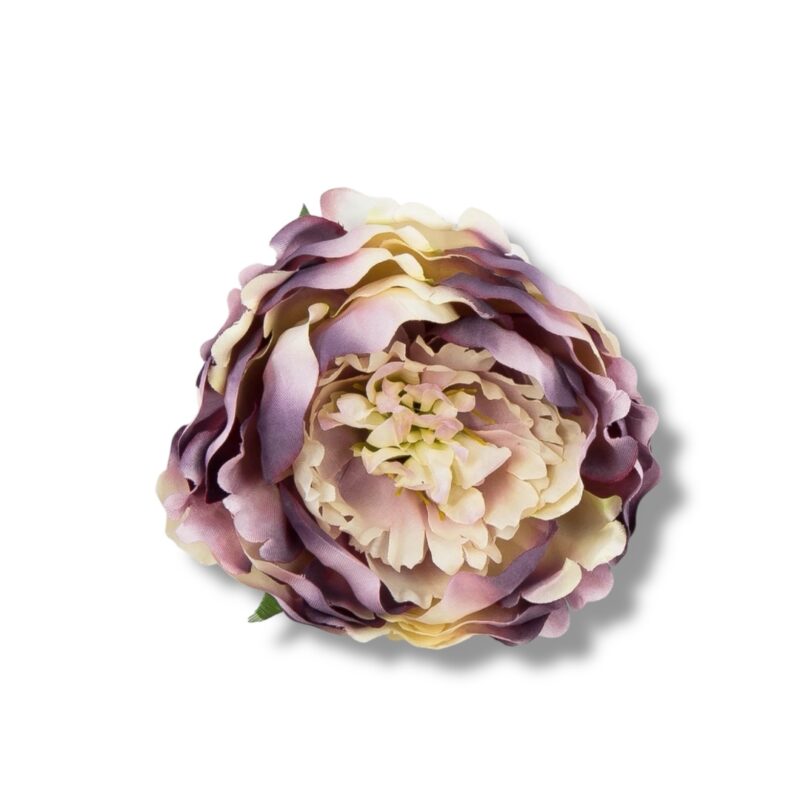 Peonia główka 6 szt. F-584