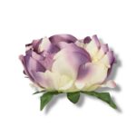 Peonia główka 6 szt. F-584