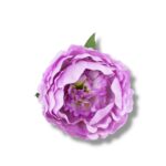 Peonia główka 6 szt. F-586