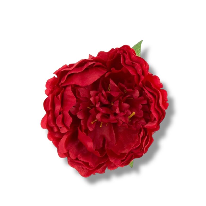 Peonia główka 6 szt. F-589