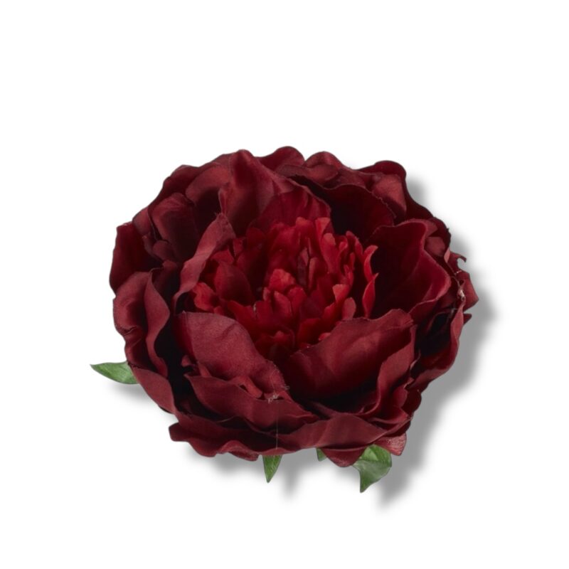 Peonia główka 6 szt. F-592