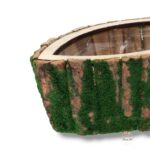 Osłonka kora z mchem K-692