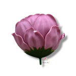 Piwonia mydlana opak.16 szt F-617