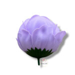 Piwonia mydlana opak.16 szt F-619
