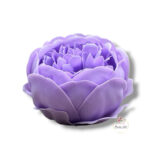 Piwonia mydlana opak.16 szt F-619