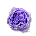 Piwonia mydlana opak.16 szt F-619