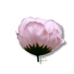 Piwonia mydlana opak.16 szt F-616