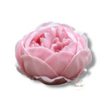 Piwonia mydlana opak.16 szt F-616