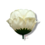 Piwonia mydlana opak.16 szt F-615