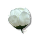 Piwonia mydlana opak.16 szt F-614