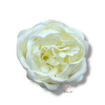 Piwonia mydlana opak.16 szt F-614