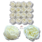 Piwonia mydlana opak.16 szt F-614
