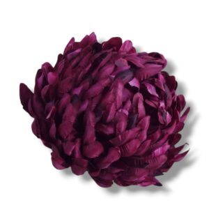 Chryzantema główka opak. 6 szt F-662