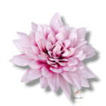 Dalia XXL F-686 opak. 6 szt